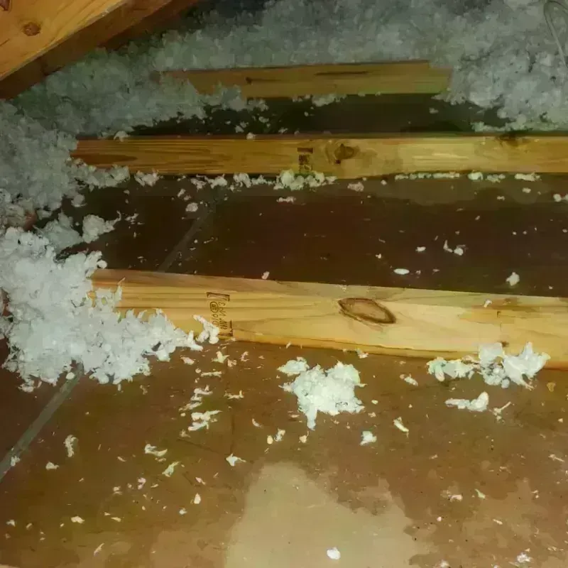 Attic Water Damage in Mountain View, AR