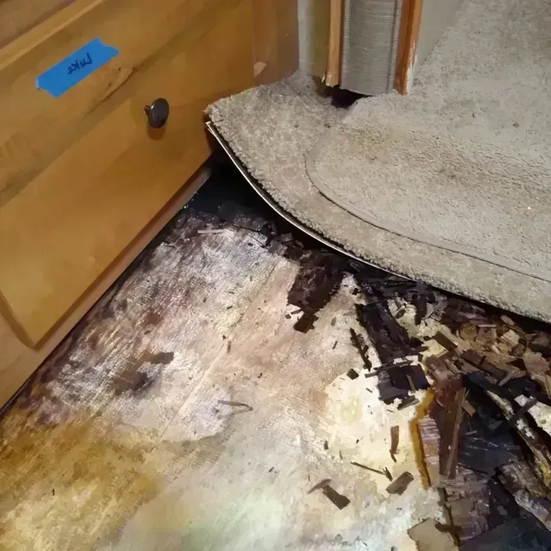 Wood Floor Water Damage in Mountain View, AR